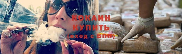 дживик Мурманск