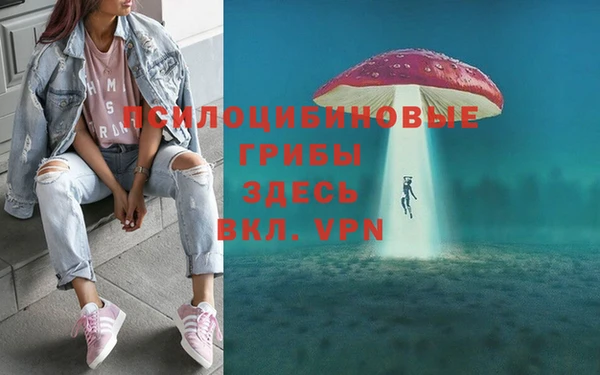 mdma Осинники